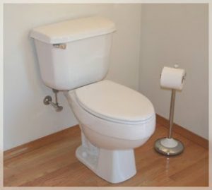 Is your Money literally going down the Toilet??