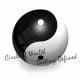CircleofWealth yin yang symbol