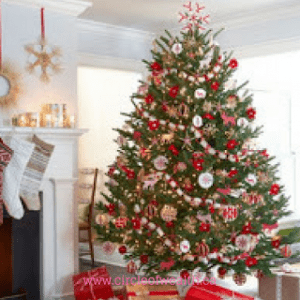 Where Should we put our Christmas Tree this year?
