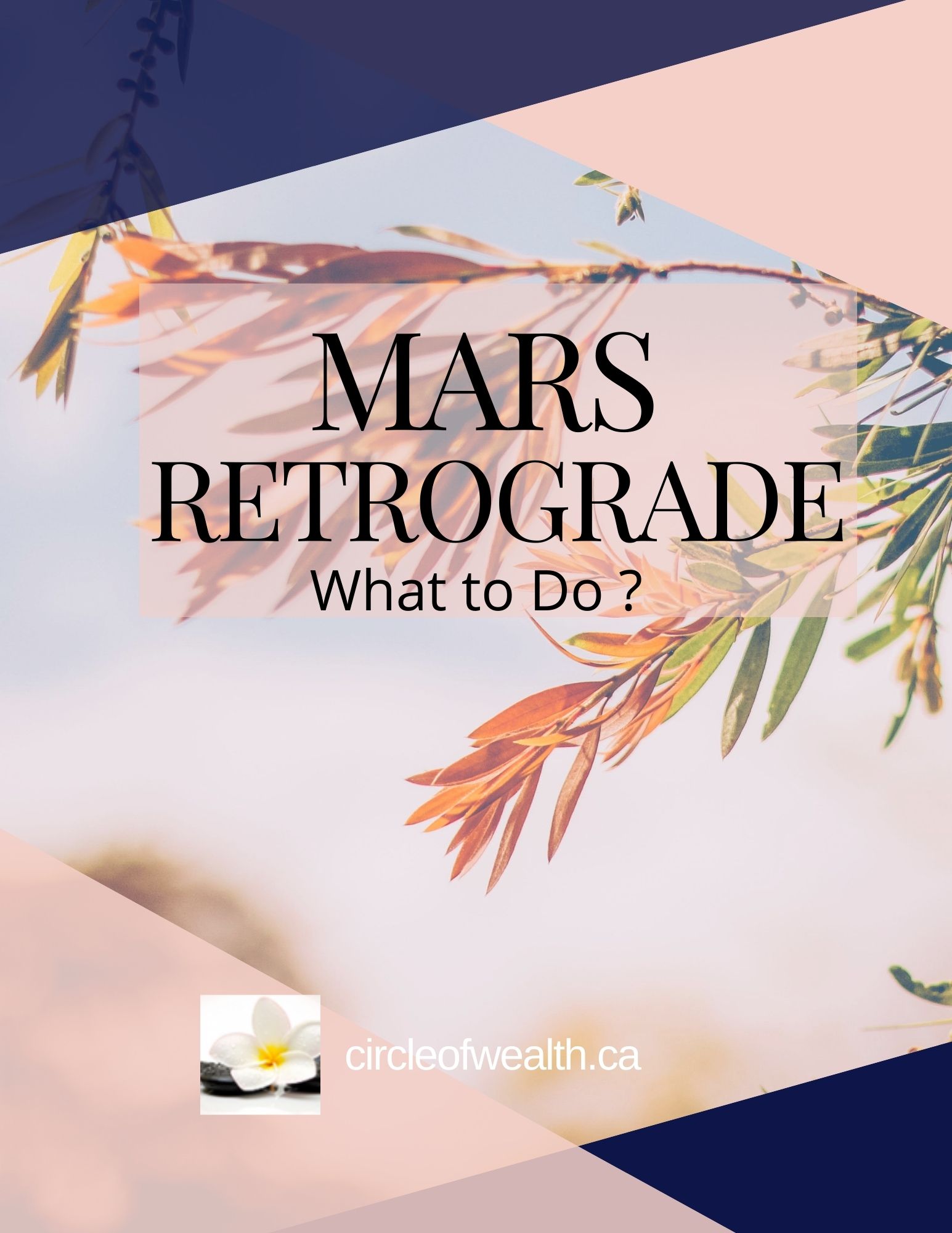 Mars In Retrograde What to do