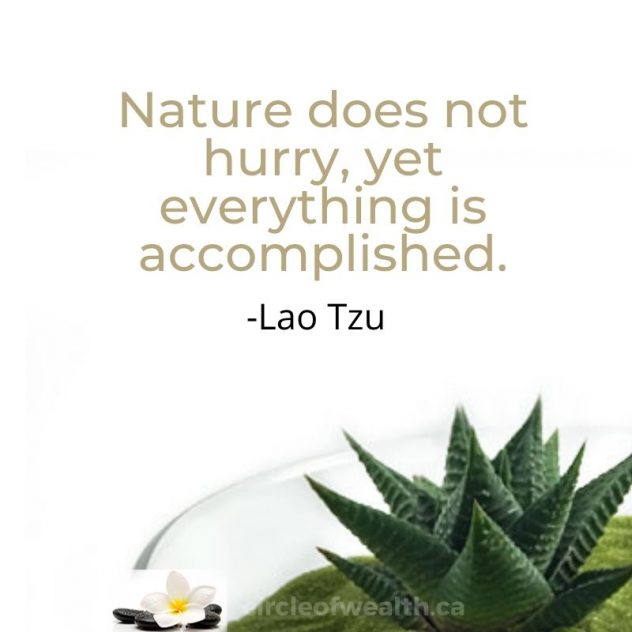 LAO TZU Quotes Collection