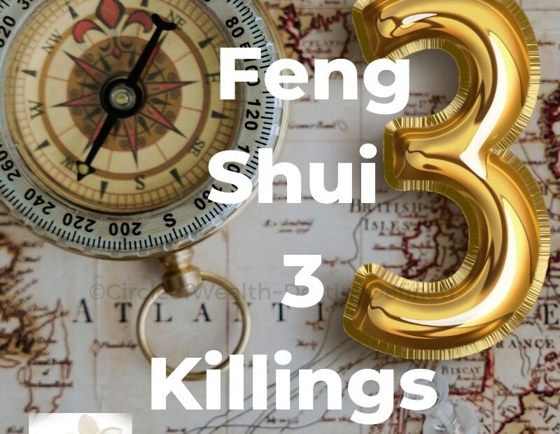 Feng Shui 2025 Three Killings energy map highlighting the East sector, showing areas to avoid disturbances and recommended protective cures for balancing negative energy."