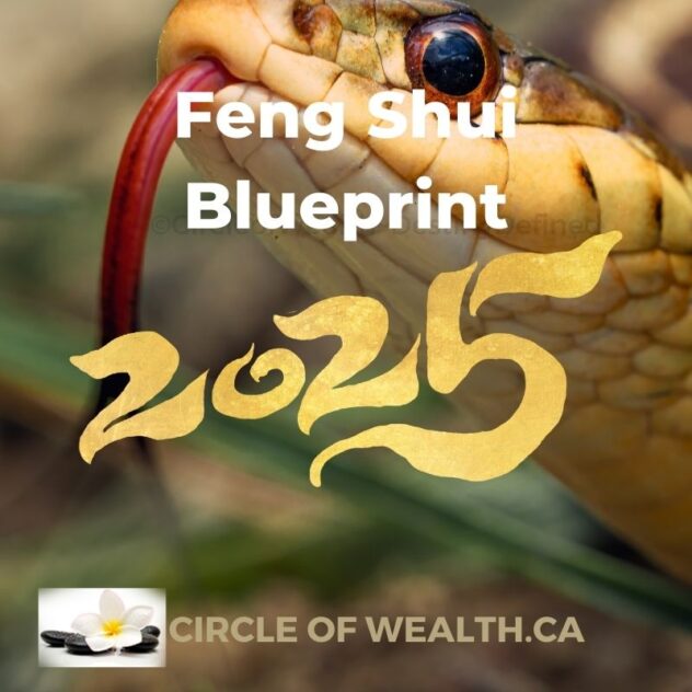 Feng Shui 2025 Blueprint - Year of the Yin Wood Snake Energy Map