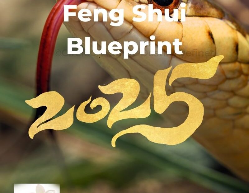 Feng Shui 2025 Blueprint - Year of the Yin Wood Snake Energy Map